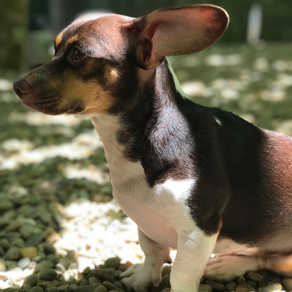 Meet your Posher, Melisa - Picture 2 of 2